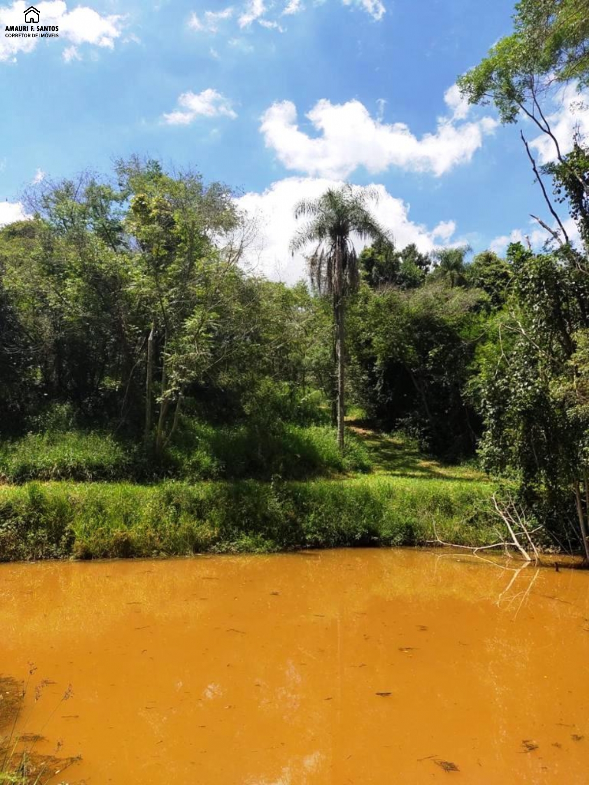 Sítio em , São Roque - Foto 13